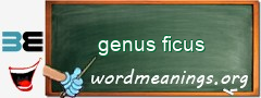 WordMeaning blackboard for genus ficus